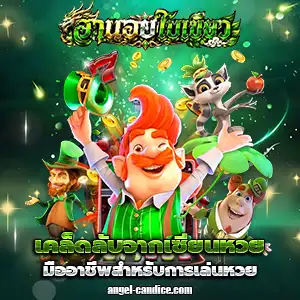 หวยใบเขียวของแท้